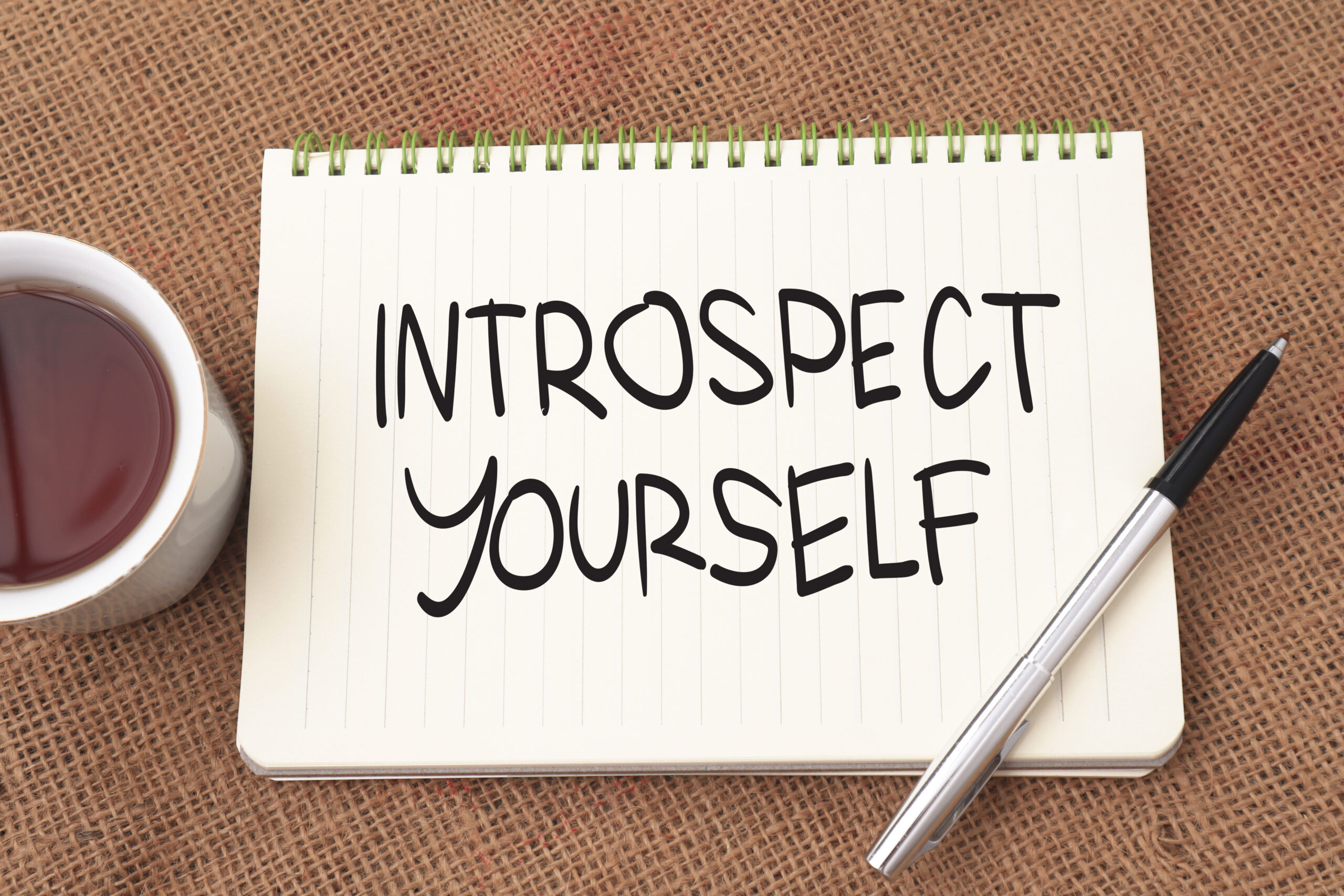 Introspect yourself, text words typography written on book, life